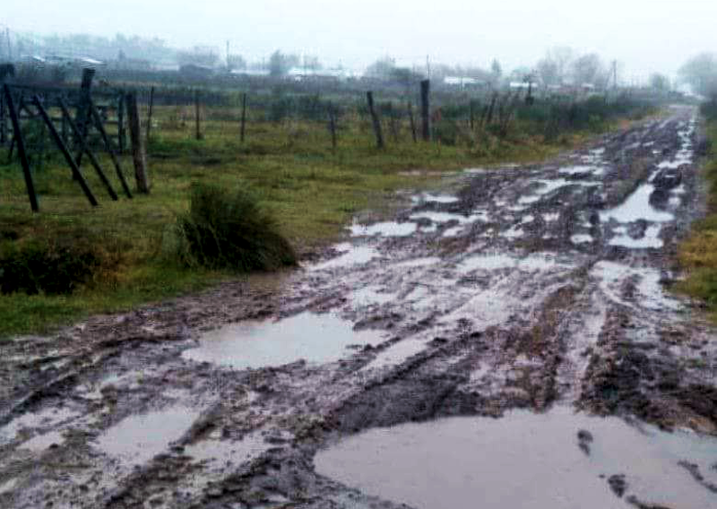 SV | Proteccionistas de caballos exigen arreglos de caminos y luminarias