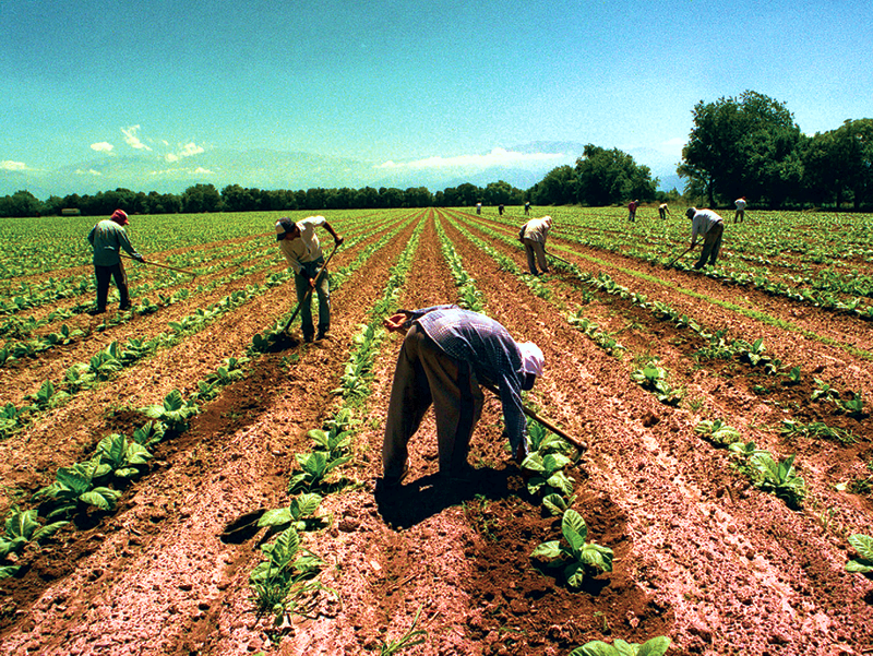 SV | La SRSV impulsa una bolsa de trabajo para trabajadores rurales
