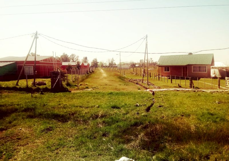 SV | El barrio “Los Olivos” de Domselaar ya tiene su nombre