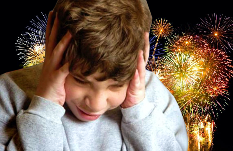 SV | Lorusso: «Cambiemos no está interesado en que salga el proyecto antipirotecnia»