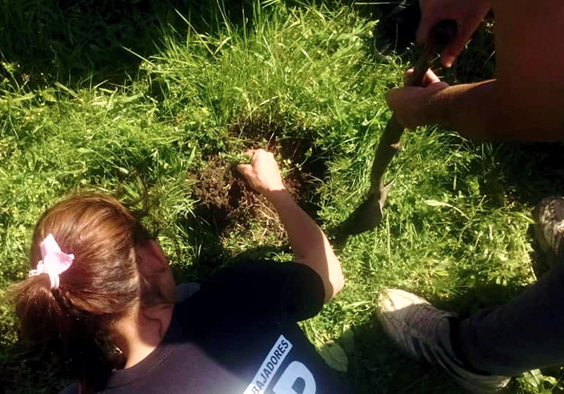 PP | Un método con semillas en arcilla para fomentar huertas en barrios peronenses