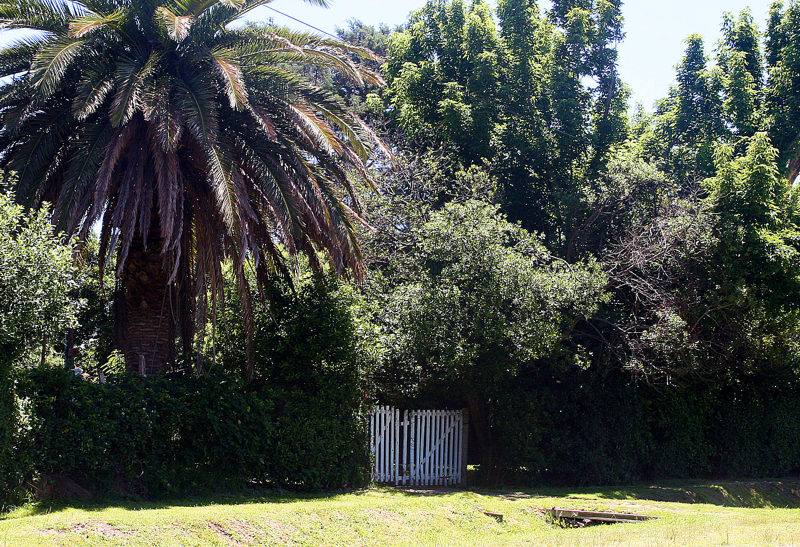 SV | La expropiación de la casa de Rodolfo Walsh tuvo su primer despacho favorable