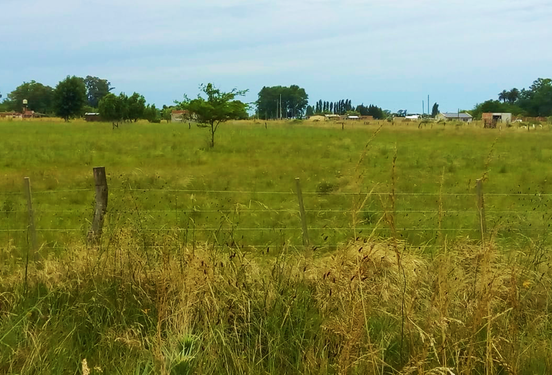 SV | Denuncian un “modus operandi” para la usurpación de terrenos en San Vicente