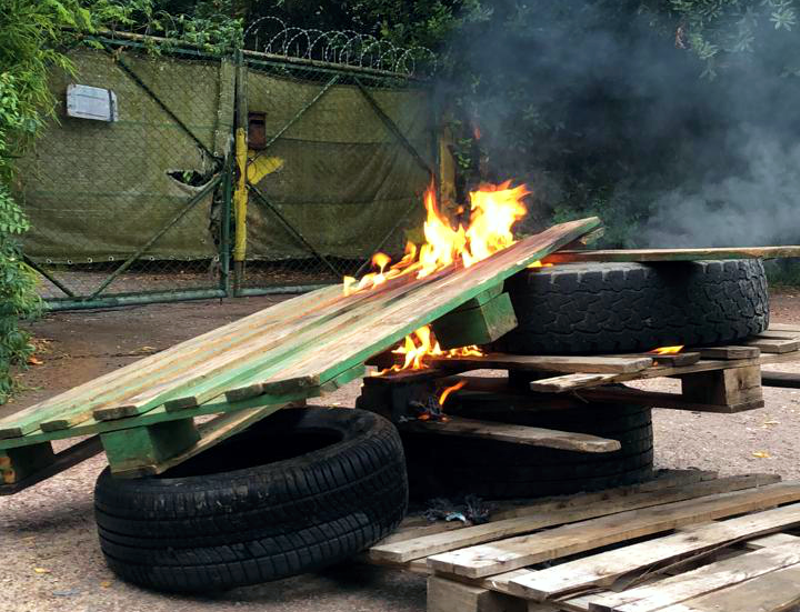 SV | Nueva protesta de los vecinos de Santa Inés por la invasión de moscas