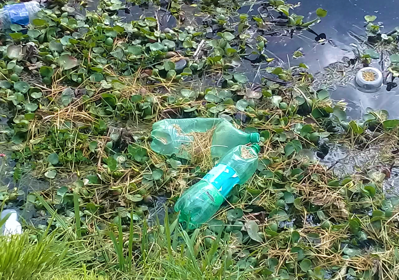 SV | Vecinos piden cambio de escenario para los corsos por contaminación