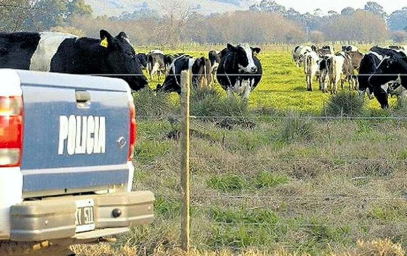 SV | Piden la implementación de un plan de prevención para el delito rural