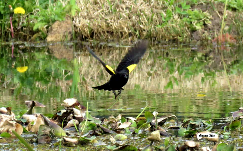 SV | El Municipio incorporó nuevos horarios para visitar la Reserva Natural