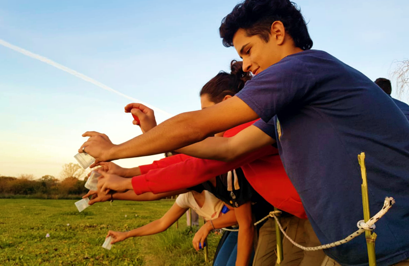 SV | Liberaron la primera tanda de insectos «comecamalotes» en la Laguna del Ojo