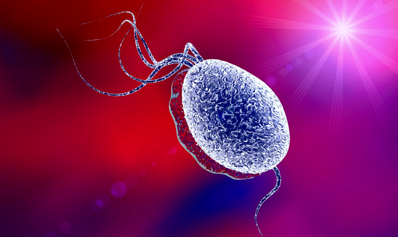 Salud | Mitos sobre enfermedades de transmisión sexual