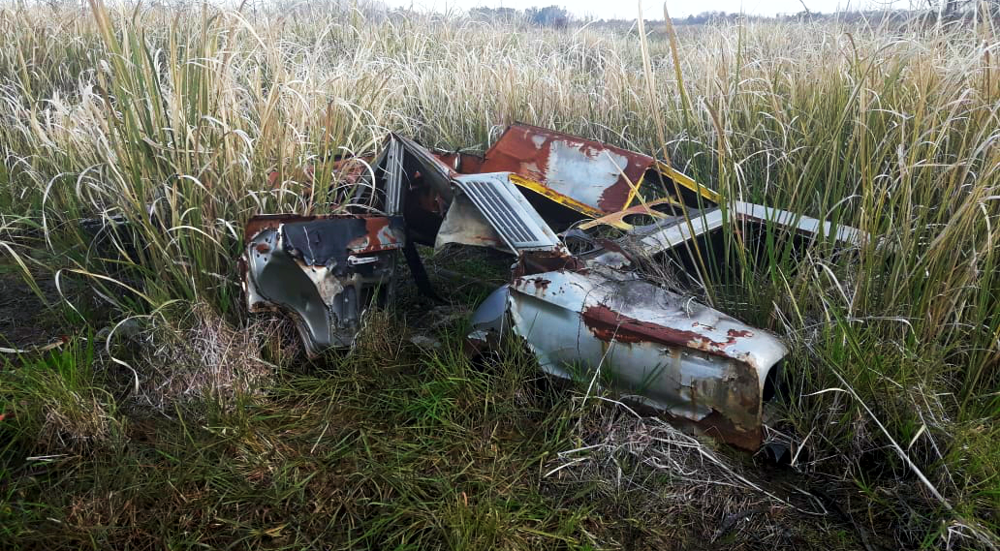 SV | Medio ambiente > VADL denunciará en OPDS el estado de la Laguna y su Reserva Natural