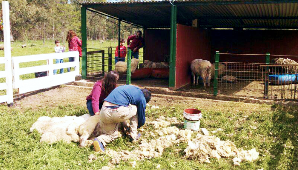 SV | Muestra > Fin de semana con la ExpoAgro del Instituto San José