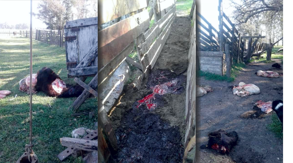 SV | Productores rurales se movilizarán al Municipio para pedir seguridad