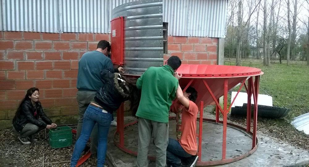 SV | Expo 2019 > La Escuela Agraria 1 prepara su muestra anual