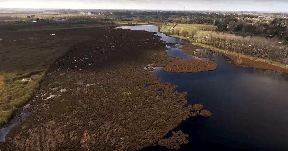 SV | Video > Estrenaron documental sobre el control biológico en la Laguna del Ojo