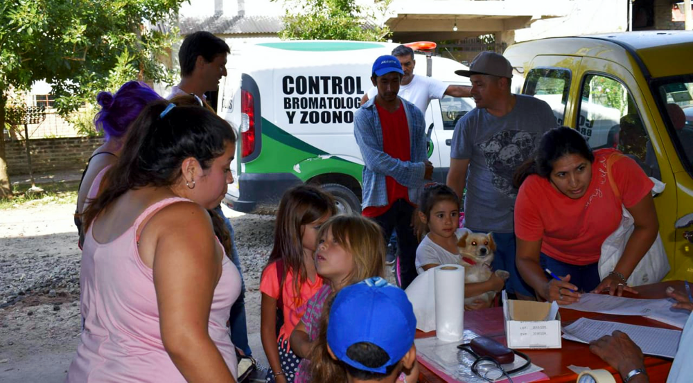 Zoonosis | Se realizó un nuevo operativo de castraciones de mascotas en Alejandro Korn