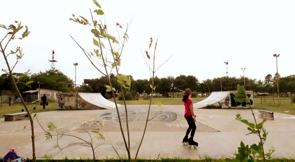 Ecología | El Municipio de San Vicente planea forestar distintos puntos del distrito