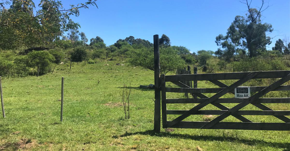 Policiales | Aparecen nuevos casos de usurpaciones en el distrito de San Vicente