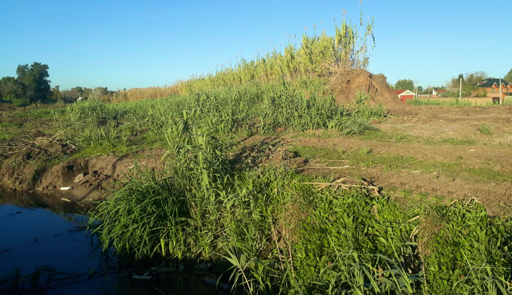 Guernica | Habría que convertir a la trocha del Ferrocarril Belgrano en un lugar de encuentro