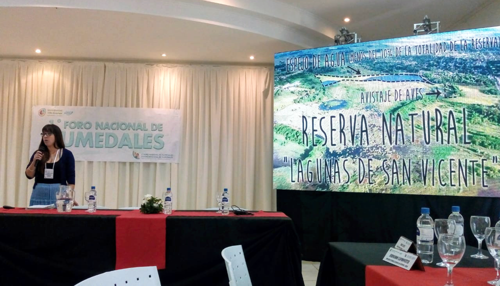 Ecología | San Vicente disertó en el Primer Foro Nacional sobre Humedales