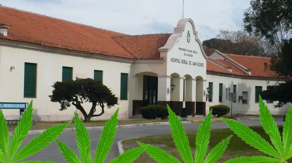 Pioneros | San Vicente, a la vanguardia de la utilización del cannabis medicinal