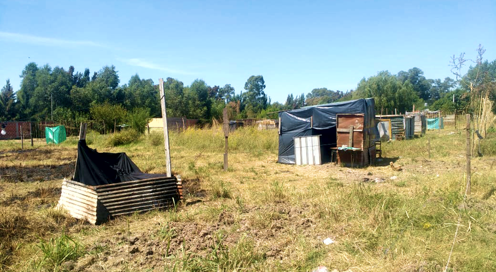 Presidente Perón | Una familia reclama por terrenos tomados y usurpados en Guernica