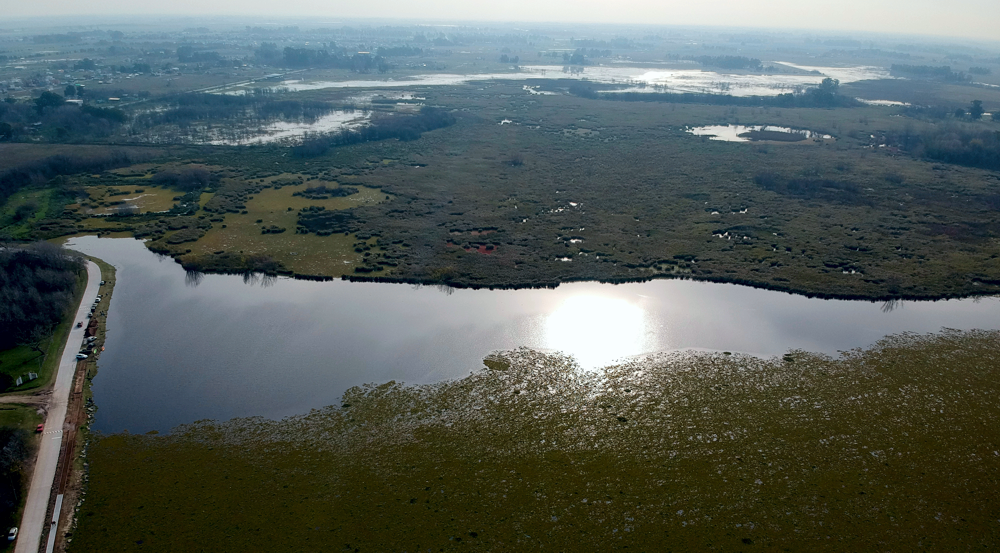 San Vicente | En el Día del Medioambiente, vecinos continúan reclamando por los humedales de la laguna