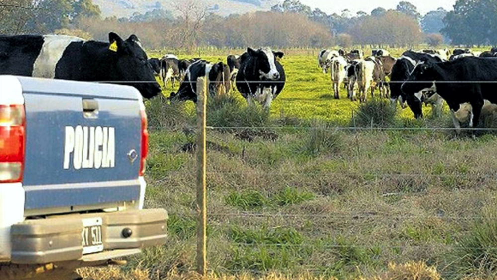 San Vicente | El sector rural convoca a una nueva reunión con autoridades por la inseguridad en el distrito