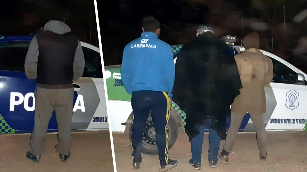 Guernica | Detienen a cuatro sujetos que arriaban caballos sin documentación