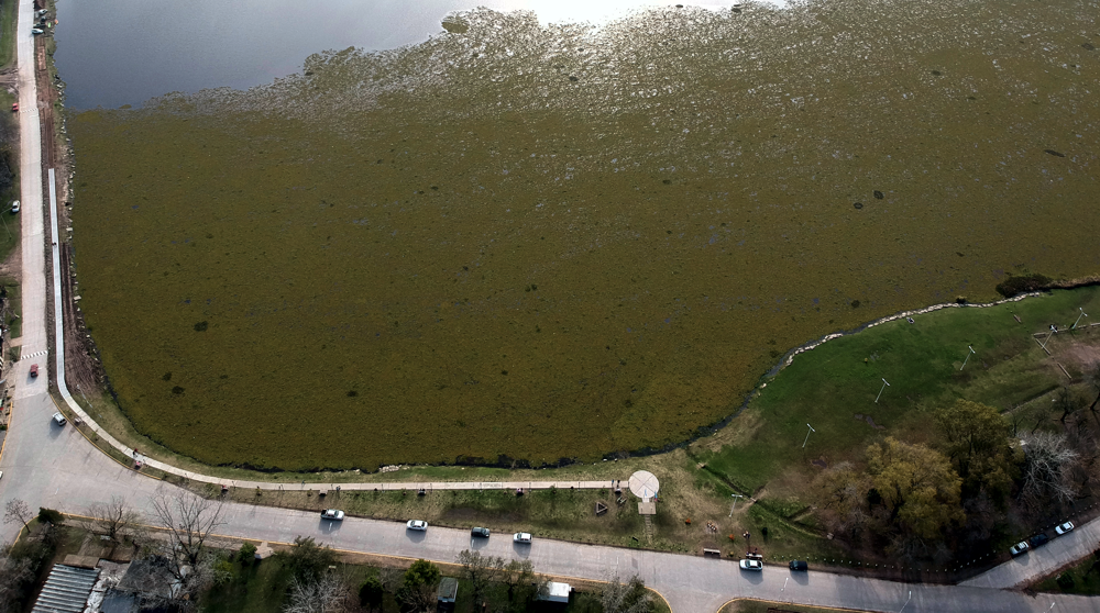 San Vicente | Polémica por la decisión municipal de cerrar la circulación en la zona de la laguna