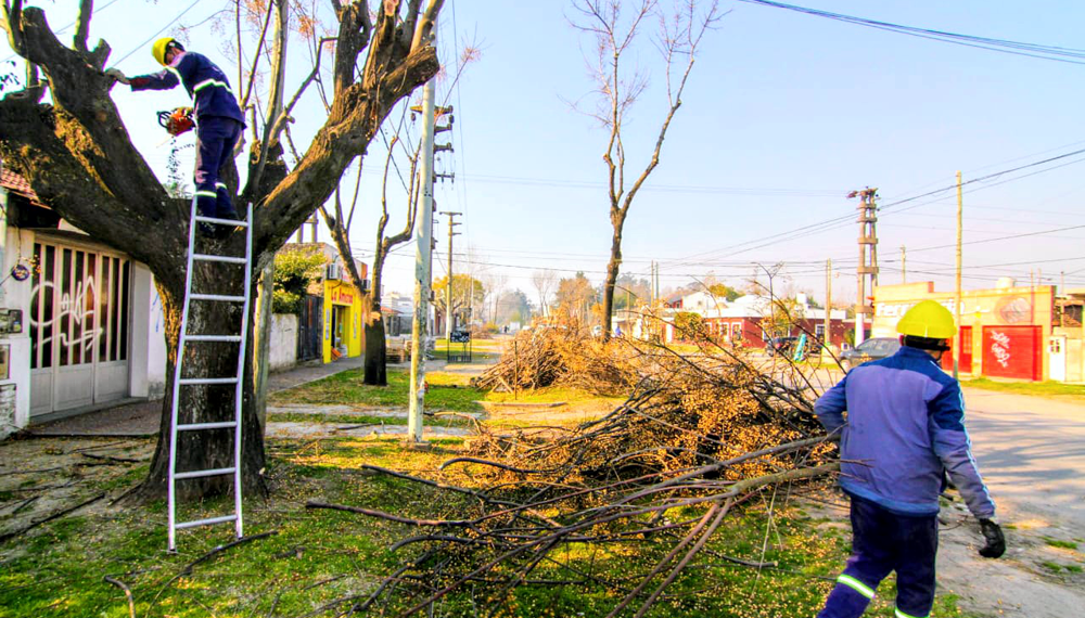 San Vicente | El Municipio anunció el final de la temporada de poda en el distrito