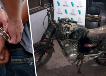 Inversión | Buquebus adquirió nuevos generadores eléctricos y dos camiones ecológicos