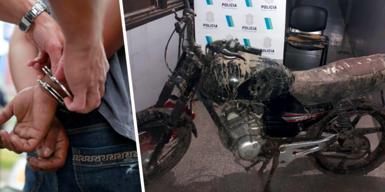 Inversión | Buquebus adquirió nuevos generadores eléctricos y dos camiones ecológicos