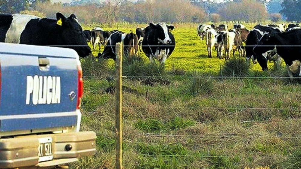 Inseguridad | Asaltaron un establecimiento rural, picanearon a un trabajador y robaron suculento botín