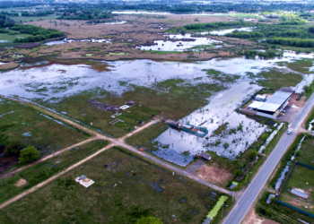 Relleno de humedales | Ambientalistas apuntan al Municipio por el incumplimiento de una ordenanza