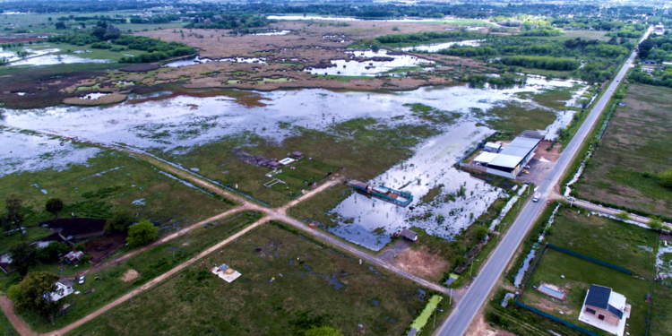 Relleno de humedales | Ambientalistas apuntan al Municipio por el incumplimiento de una ordenanza