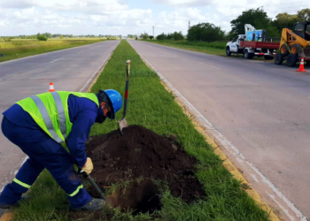 Alejandro Korn | Comenzó la segunda etapa de la obra de iluminación de la Ruta 210