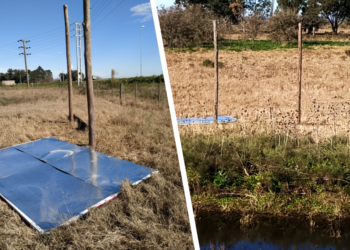 San Vicente | Detuvieron a cuatro sujetos que intentaron usurpar un predio en rutas 6 y 58