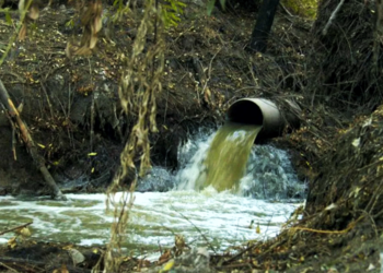 Ecología | Buscan crear un régimen de pasivos ambientales para empresas afincadas en San Vicente