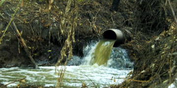 Ecología | Buscan crear un régimen de pasivos ambientales para empresas afincadas en San Vicente