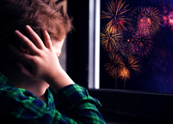 Deliberativas | Presidente Perón prohibió la comercialización y el uso de pirotecnia sonora