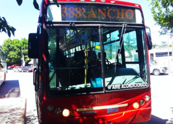 Transportes | Desde El lunes habrá un servicio de colectivos entre Alejandro Korn y Ranchos