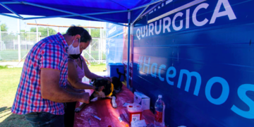 San Vicente | Zoonosis programó diez operativos de castraciones para los próximos 30 días