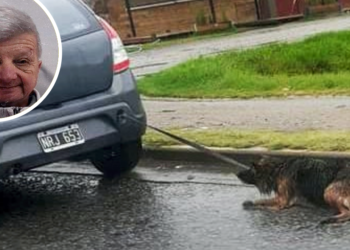 Guernica | Detuvieron a un hombre que arrastró un perro con su automóvil