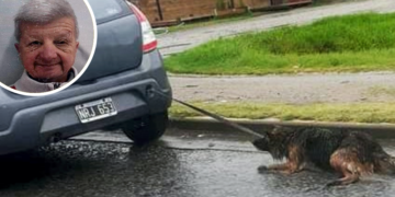 Guernica | Detuvieron a un hombre que arrastró un perro con su automóvil