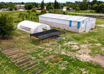 Vieja Estación | Continúan los trabajos en el Vivero Forestal de Especies Nativas de San Vicente