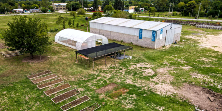 Vieja Estación | Continúan los trabajos en el Vivero Forestal de Especies Nativas de San Vicente
