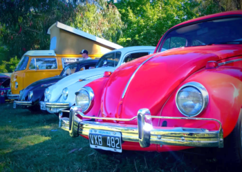 San Vicente | Encuentro solidario de autos Volkswagen en el Predio Vieja Estación