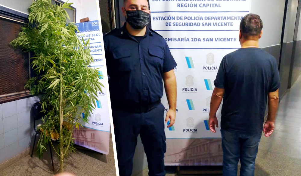 Alejandro Korn | Violaba las restricciones con una planta de marihuana en su poder