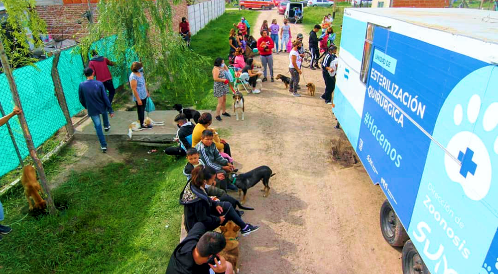 Zoonosis | Se conocieron las fechas de castraciones para el mes de junio en San Vicente