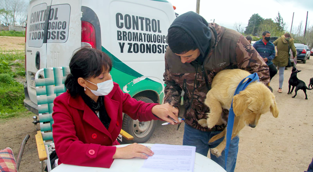 Zoonosis | Campaña de castración de perros y gatos en el barrio La Merced de San Vicente